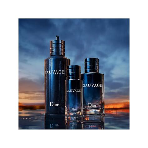 dior sauvage huge bottle|Dior Sauvage cheapest price.